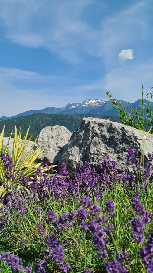 Le Refuge Du Montagnard Bed & Breakfast Marthod Exterior foto