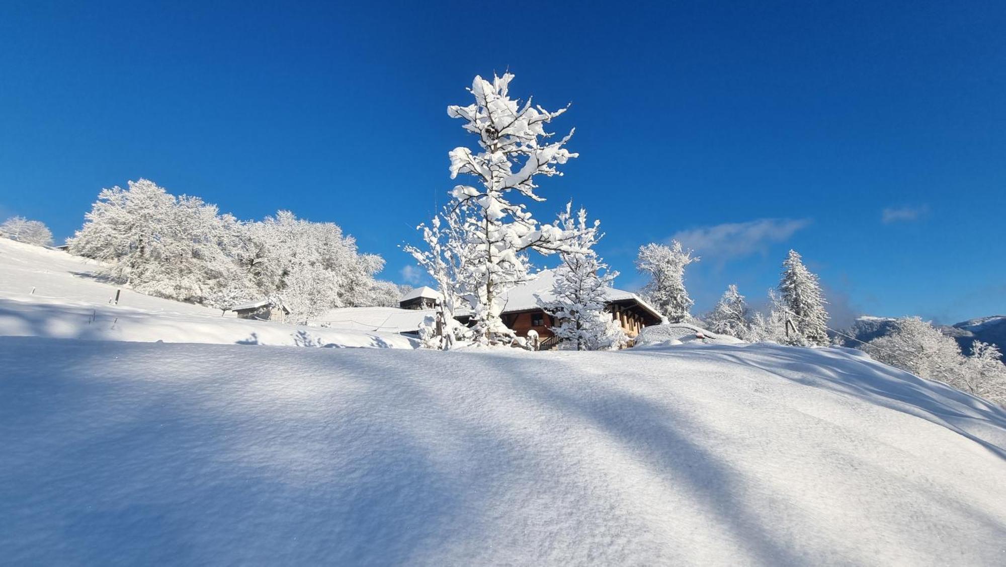 Le Refuge Du Montagnard Bed & Breakfast Marthod Exterior foto